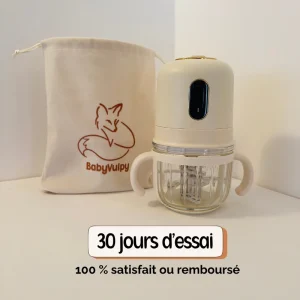 Mixeur Bébé portable sans fil