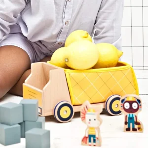 Camion-benne + blocs de Georges